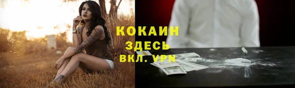 a pvp Горняк