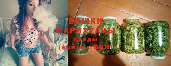 индика Магас