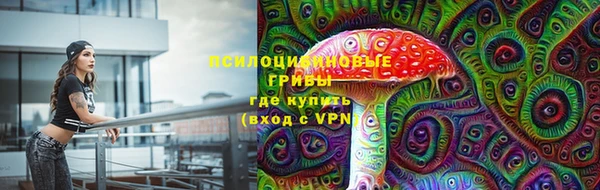 a pvp Горняк