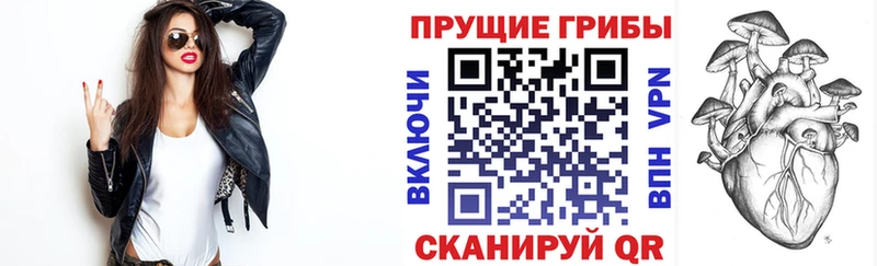 даркнет состав  KRAKEN онион  Галлюциногенные грибы MAGIC MUSHROOMS  Мончегорск  сколько стоит 