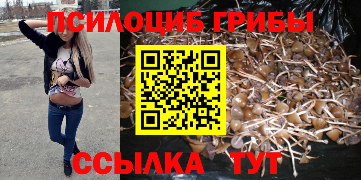Псилоцибиновые грибы мухоморы Мончегорск